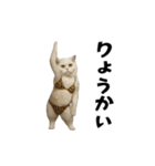 お猫様の動くスタンプ10（個別スタンプ：1）