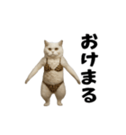お猫様の動くスタンプ10（個別スタンプ：2）