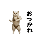 お猫様の動くスタンプ10（個別スタンプ：3）