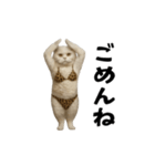 お猫様の動くスタンプ10（個別スタンプ：4）