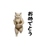 お猫様の動くスタンプ10（個別スタンプ：5）