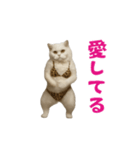 お猫様の動くスタンプ10（個別スタンプ：6）