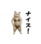 お猫様の動くスタンプ10（個別スタンプ：7）