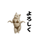 お猫様の動くスタンプ10（個別スタンプ：9）
