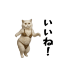 お猫様の動くスタンプ10（個別スタンプ：11）