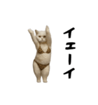 お猫様の動くスタンプ10（個別スタンプ：13）