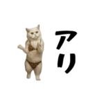 お猫様の動くスタンプ10（個別スタンプ：14）