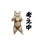 お猫様の動くスタンプ10（個別スタンプ：16）