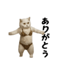 お猫様の動くスタンプ10（個別スタンプ：17）