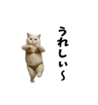 お猫様の動くスタンプ10（個別スタンプ：19）
