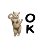 お猫様の動くスタンプ10（個別スタンプ：20）