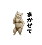 お猫様の動くスタンプ10（個別スタンプ：22）