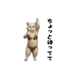 お猫様の動くスタンプ10（個別スタンプ：23）