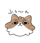 我が家の猫メルちゃん4（個別スタンプ：1）