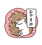 我が家の猫メルちゃん4（個別スタンプ：9）