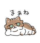 我が家の猫メルちゃん4（個別スタンプ：18）