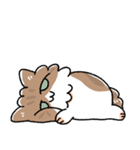 我が家の猫メルちゃん4（個別スタンプ：19）