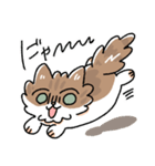 我が家の猫メルちゃん4（個別スタンプ：24）