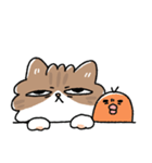 我が家の猫メルちゃん4（個別スタンプ：34）
