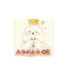 柴犬しか使わん‼️（個別スタンプ：5）