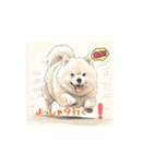 柴犬しか使わん‼️（個別スタンプ：6）