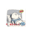 柴犬しか使わん‼️（個別スタンプ：8）