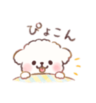 もしゃもしゃマルチーズ 水彩タッチ（個別スタンプ：19）