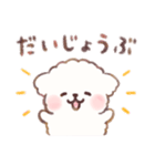 もしゃもしゃマルチーズ 水彩タッチ（個別スタンプ：23）