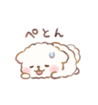 もしゃもしゃマルチーズ 水彩タッチ（個別スタンプ：40）