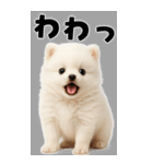 そのままポメ【BIGスタンプ】（個別スタンプ：15）