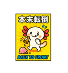 あめこみアニマル｜四字熟語編（個別スタンプ：11）