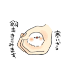 文鳥ぶんちょ2（個別スタンプ：40）