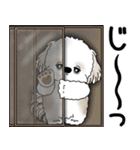 シーズー犬 2025 「ネガティブ・いじけ虫」（個別スタンプ：1）