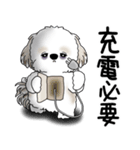 シーズー犬 2025 「ネガティブ・いじけ虫」（個別スタンプ：6）