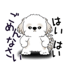 シーズー犬 2025 「ネガティブ・いじけ虫」（個別スタンプ：7）