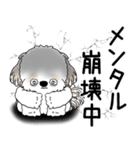 シーズー犬 2025 「ネガティブ・いじけ虫」（個別スタンプ：13）