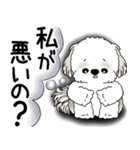 シーズー犬 2025 「ネガティブ・いじけ虫」（個別スタンプ：16）