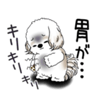 シーズー犬 2025 「ネガティブ・いじけ虫」（個別スタンプ：20）