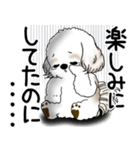 シーズー犬 2025 「ネガティブ・いじけ虫」（個別スタンプ：21）
