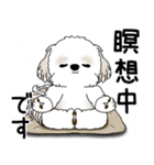 シーズー犬 2025 「ネガティブ・いじけ虫」（個別スタンプ：36）