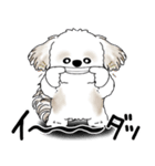 シーズー犬 2025 「ネガティブ・いじけ虫」（個別スタンプ：39）