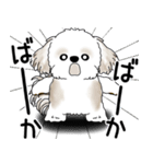 シーズー犬 2025 「ネガティブ・いじけ虫」（個別スタンプ：40）