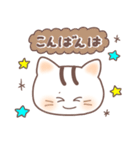 毎日送りやすい可愛いネコタム（個別スタンプ：14）