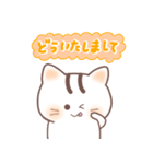 毎日送りやすい可愛いネコタム（個別スタンプ：16）