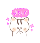 毎日送りやすい可愛いネコタム（個別スタンプ：18）