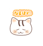 毎日送りやすい可愛いネコタム（個別スタンプ：31）