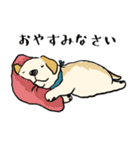 日常的なラブラドールレトリーバー（個別スタンプ：4）