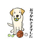 日常的なラブラドールレトリーバー（個別スタンプ：21）