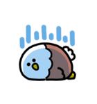ゆるふわハクトウワシ 動くスタンプ（個別スタンプ：24）