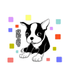 Doggy Daily4（個別スタンプ：2）